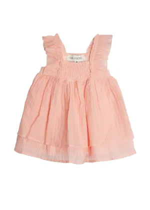 Butterfly Kisses Toddler Dress