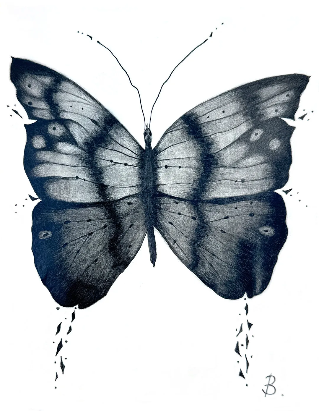 MYTHICAL BUTTERFLY - Original Graphite Pencil Art 21cm x 15cm Fine Art on Paper