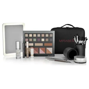 Small Professional Makeup Artist Cosmetology Kit